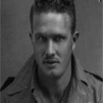 William Frank Stone