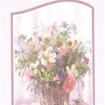 Judith Ann Mitchell
