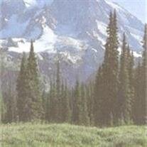 Ronald R. Anstead