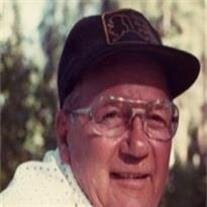 Delbert H.  Driggs