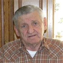 Mr. Alger Alvin Witczak Obituary