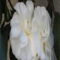 Hildegarde B. Ward
