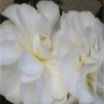 Irma N. Leinroth