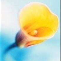 Judith A. "Judy" Rieser