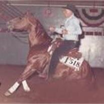Danny Midgett