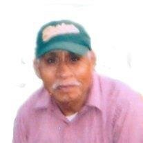 Luis P. Zavala