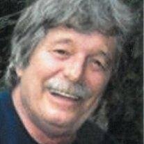 Donald D.  Remster Jr.