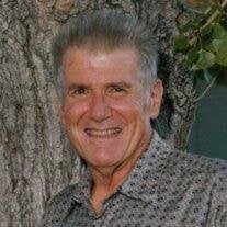  Dr. Stewart "Stu" Elson