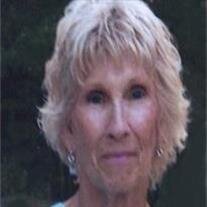 Nancy Ann Shively