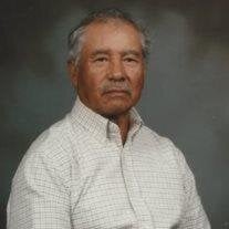 Castulo M. Villa