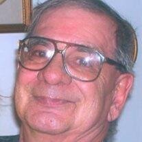 Michael H. Vozzelli