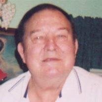 Mr. Michael  Ray  Pickeral