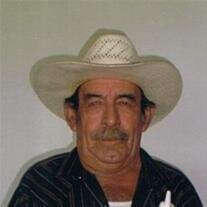 Reinol Chapa