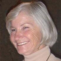 Judy Palm