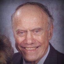 Mr. Tiberio Alfonsi