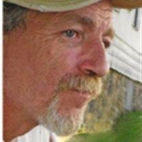 Donald  C Maynard