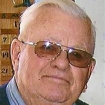 Mr William A Briean Jr