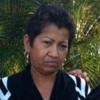 Elssy Medina