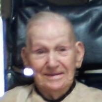 Robert J. Devaney