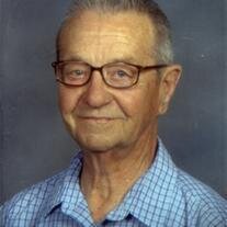 David Snelson