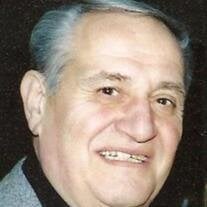 Mr. Michael J.  Grande