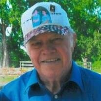 Robert L.  Gibbins