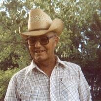 Donald G. "Budz" Austby