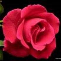 Mrs. Lois M. Mcadory