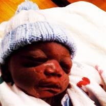 Baby Boy Julius Jquan Brown Jr.