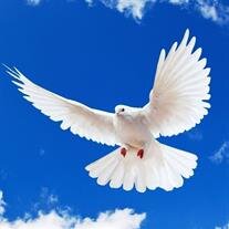 Adolfo Walter Gagliano