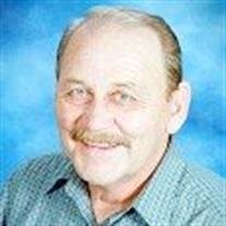 Dennis D Luoma