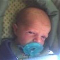Noah Dwight Adams
