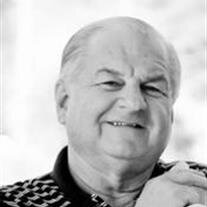 Tom N. Andrews