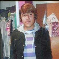 Alvis Avimelec Hernandez