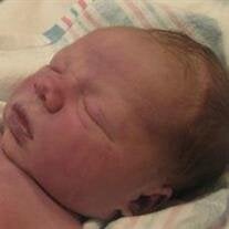 Holden Micah Galer