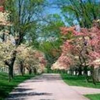 Margery Holman Barbee