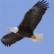 Mr. William "Bill" Albert  Hines Jr.