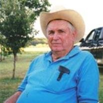Ervin Fritz Lerche
