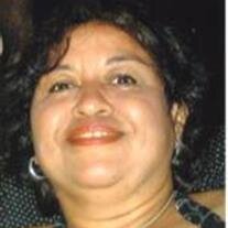 Maria Del Carmen Rocha Fernandez