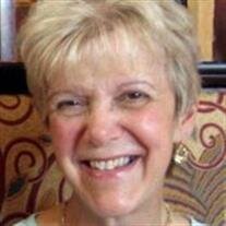 Barbara  Ann Allen
