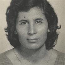 Arcadia Ortiz