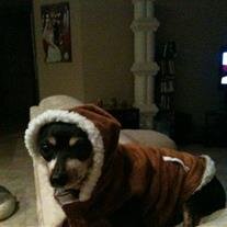 D.O.G. Draben