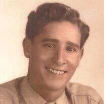 Mr. John Louis Rastani