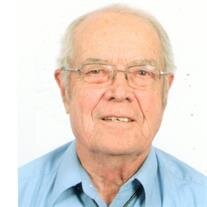 Lewis J Fish