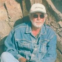 David  J. Opdahl