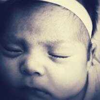Aria Jesse Vasquez