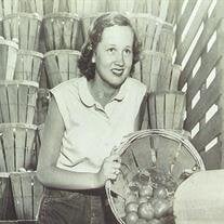 Hendrika Adriana Maria deRooy Schmidt