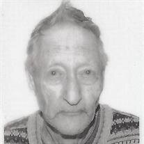 Mr. Marlo Carlo Herman Scheile