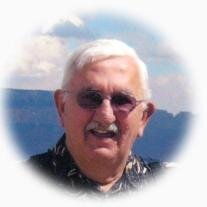Albert D. Cote