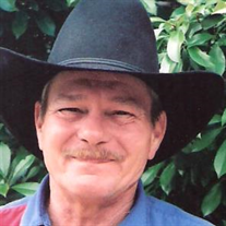 Tony Mac Williams Sr